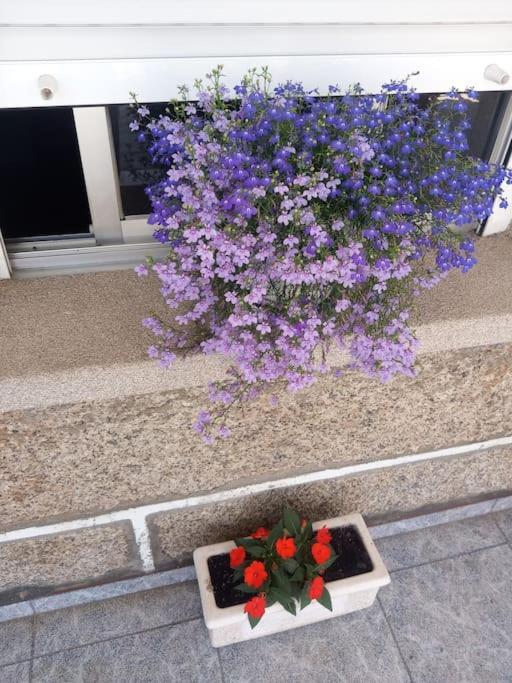 Precioso Apartamento En San Vicente De O Grove San Vicente do Grove Ngoại thất bức ảnh